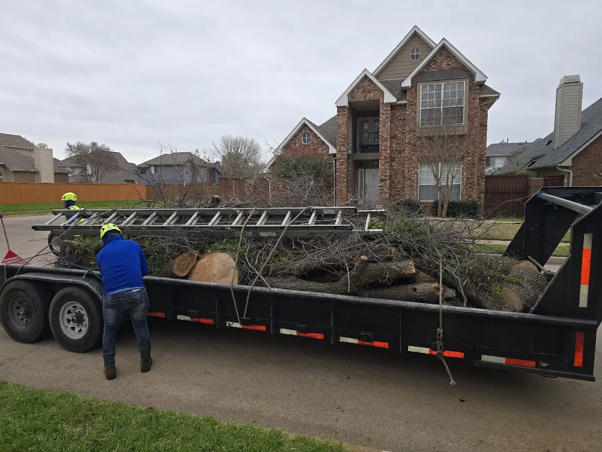 Expert Lot Clearing with proper safety equipment in Edgar